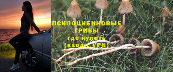 крисы Аркадак