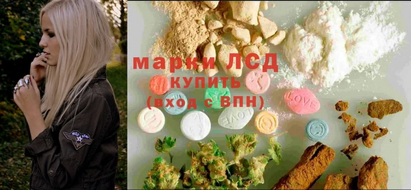 крисы Аркадак
