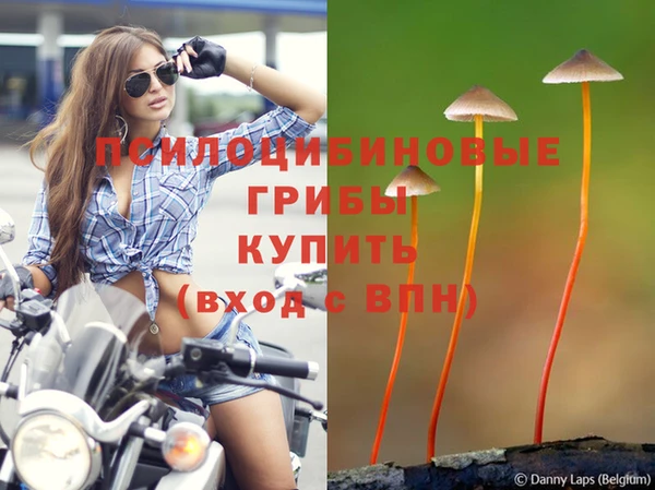 крисы Аркадак