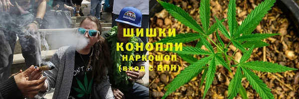 крисы Аркадак