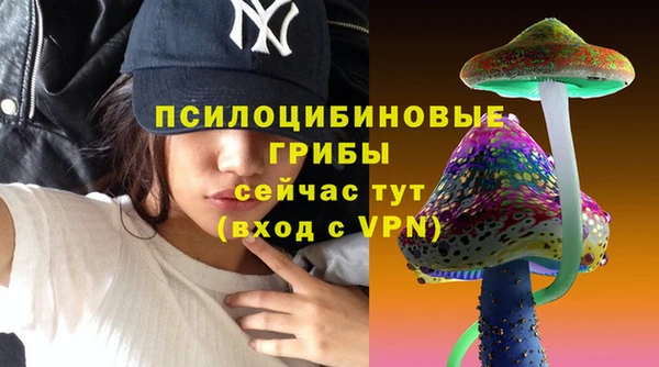 крисы Аркадак