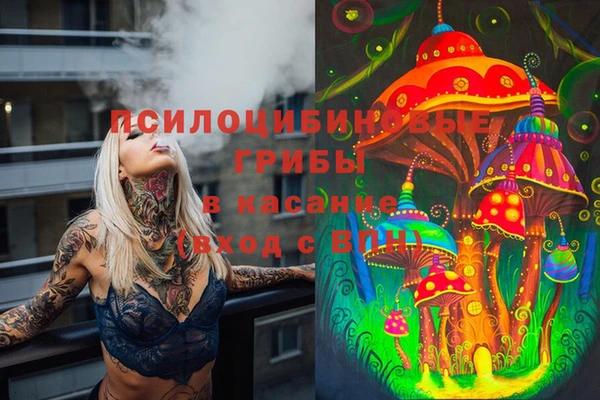 спиды Кострома