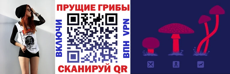 Псилоцибиновые грибы ЛСД  это официальный сайт  Боровск  где купить наркотик 